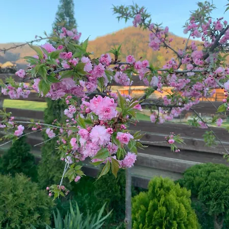 Rimma з чаном та сауною Apartman